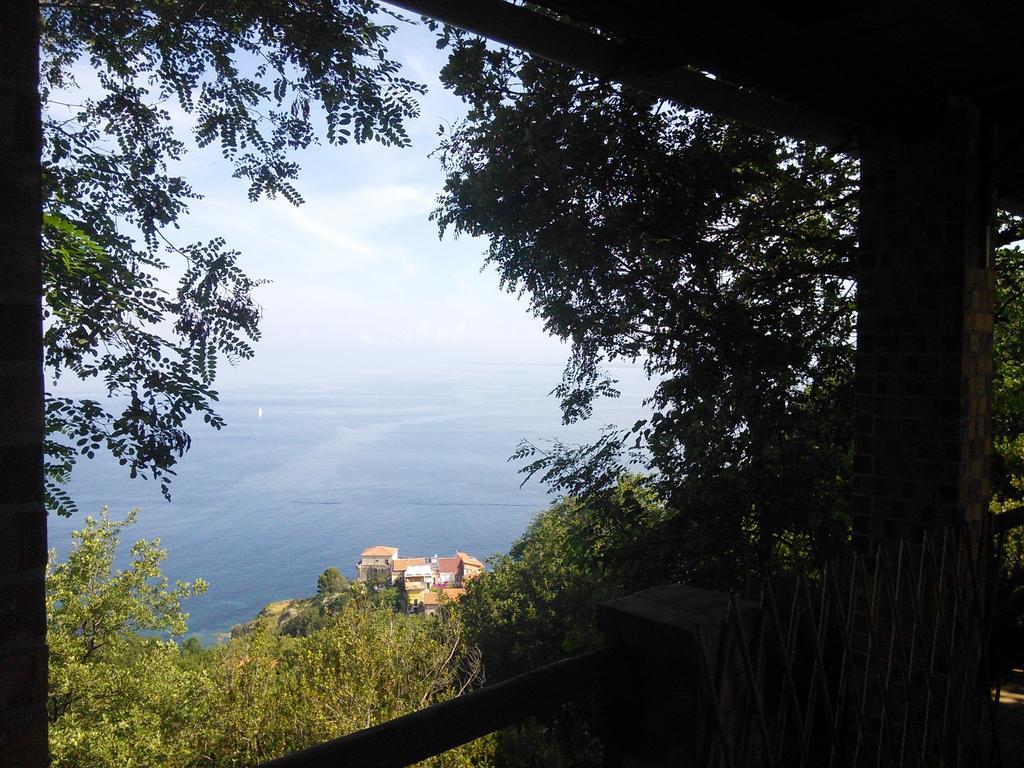La Selva Hotel อากรอโปลี ภายนอก รูปภาพ